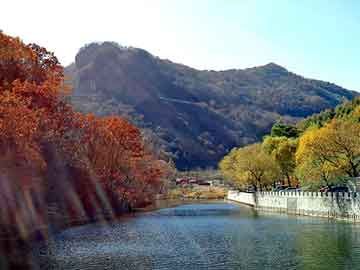 澳门二四六天天彩图库，普利司通轮胎价格表